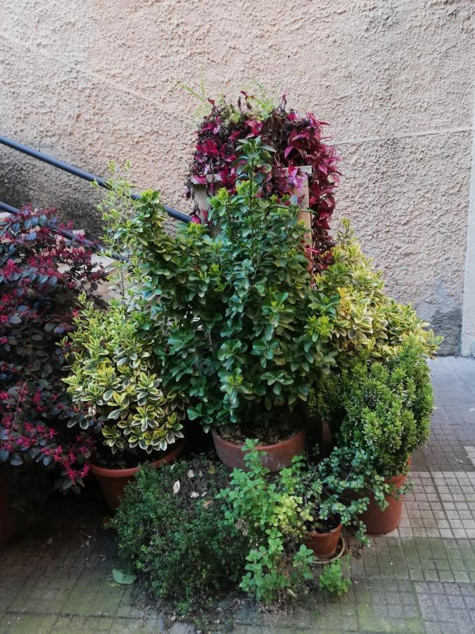 Tra Gianicolo E Trastevere Roma Exterior foto